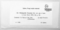 Phylloporthe vernoniae image